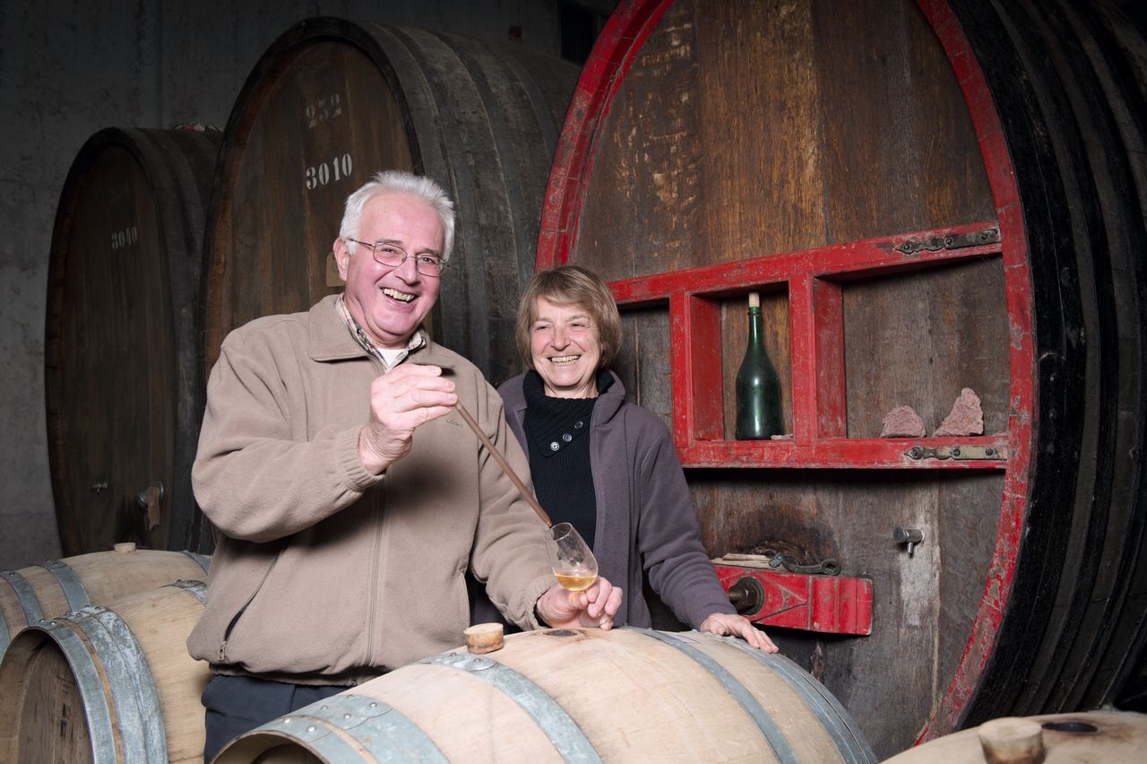 Vins Vigneron Luc et Sylvie BOILLEY – FREMIOT BoilleyFremiot-0006